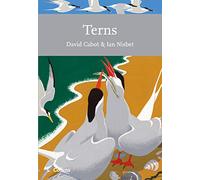 Terns: Book 123 (Collins New Naturalist Library)