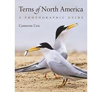 Terns of North America: A Photographic Guide