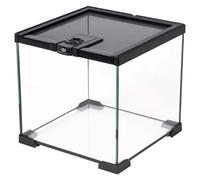 Terra Glass Terrarium Black, Various Sizes, NEW