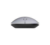 TERRA Mouse NBM1000S Wireless BT Silver