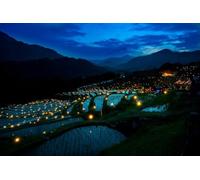 Terraced Fields Night Banquet-1500-Piece Wooden Puzzle Game: Educational and Colorful Decoration Game (14 years+)