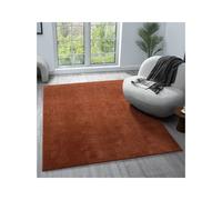 (TERRACOTTA, 120 x 160 cm) Comfy Washable Minimalist Modern Rug - Anti-Slip, Machine Washable, Low Pile - For Living Room, Bedroom, Hallway Runner