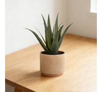 Terracotta 31Cm Aloe Plant Pot With Artificial Plant In Orange Ceramic Pot