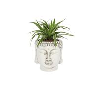Something Different White Terracotta Buddha Head Planter
