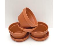Terracotta Half Pots With Saucers Pack HF13/S13 (Pack of 3)