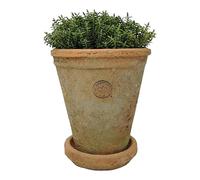 Terracotta Plant Pot with Saucer - Long Tom, Rustic Mediterranean Garden Succulent Planter, Tall Terracotta Garden Herb, Bulb, Crocus, Flower Pot with Dish