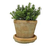 Terracotta Plant Pot with Saucer - Medium, Rustic Mediterranean Garden Succulent Planter, Terracotta Garden Herb, Bulb, Crocus, Flower Pot with Dish