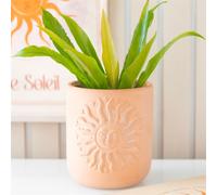 Terracotta Sun Plant Pot