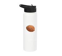 Terraforming Mars Space Exploration Mars Colonization Stainless Steel Insulated Water Bottle