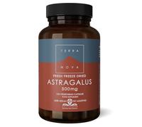 TERRANOVA Astragalus 500mg - 100 Capsules