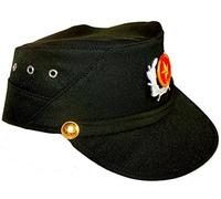 Terrapin Trading Ltd Vietnam Army Vietnamese Military Cap Hat with Metal Badge Army Surplus Dark Green