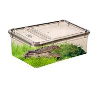 Terrarium - Clear Reptile Enclosure Box | Dustproof Lightweight Easy Stack Design with Secure Lid | Best for Geckos Spiders Frogs Beetles Lizards Small Pets Habitat Feeder Housing Cage