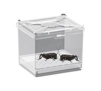 Terrarium for Jumping Spiders - Food Box - Ventilated Habitat for Science Projects Education Home Living Room Travel Camping
