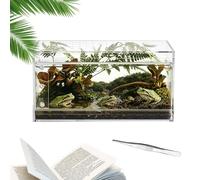 Terrarium for Spiders - Transparent Breathable Acrylic | Reptile Habitat with Transparent Container for Mantis - Feeding, Climbing and Observation of Tarantulas, Mantis, Frogs, Geckos, Lucer