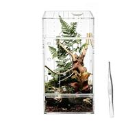 Terrarium for Tarantulas, Acrylic Glass, Breathable, Transparent, Gecko and Bearded Dragons Housing, for Tarantulas, Praying Mantis, Frogs, Geckos, Lizards, Snakes, Feeding, Climbing, Beoba