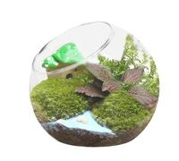 Terrarium Glass Vase - Angled Mouth, Flower Pot Display Pot | Crystal Air Plant Tank for Indoor Decoration, Eco Centerpiece for Tabletop, Living Space, Bedroom, Modern Arrangement Idea