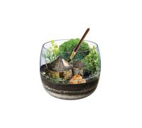 Terrarium Harry Potter Junior 35 X 26 Cm