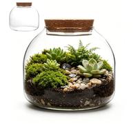 Terrarium Jar With Wood Stopper Hydroponic Container for Miniature Landscapes Succulents Moss Plant Display Home Office Bedroom Decor