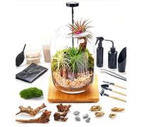 Terrarium Kit/Supplies Terrarium Plants Set with Grow Light, for Succulents and Miniature Gardening,Terrarium jar, Tool Set,Live Moss,Rocks,Soil,Driftwood, and Decor, for Plant Lovers