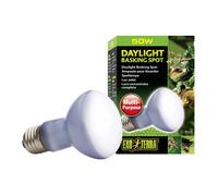 Exo Terra Daylight Basking Bulb R20 50w