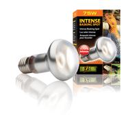 Terrarium lamp Exo Terra Intense Basking Spot 75W