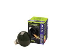 Terrarium lamp Komodo Nightglow Spot