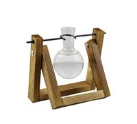 Terrarium Plants Holder - Assorted Small Ferns, Houseplants Desk Accessories | Compact Tropical Closed Terrariums, Low Light Indoor Gardens Humidity Loving Houseplants For Glass Kits