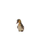 Terrastyle White, Yellow, Black Resin Duckling Garden Ornament (H)14.8Cm (W)7.5Cm