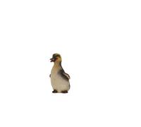 Terrastyle White, Yellow, Black Resin Forward Facing Duckling Garden Ornament (H)14.8Cm (W)7.5Cm