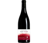 Terre Astrale 2024 - Domaine de l'églisette