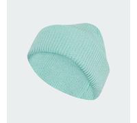 adidas Unisex Terrex Multi Beanie, Semi Flash Aqua, L