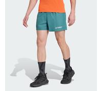 adidas Men's Terrex Multi Shorts, Preloved Teal, L