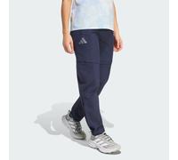 Adidas Terrex Xperior Utilitas Clima365 Zip-off Pants Black 40 / Regular Woman
