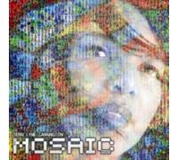 TERRI LYNE CARRINGTON: The MOSAIC PROJECT - CD
