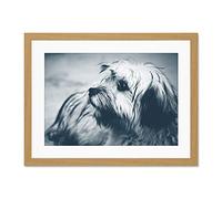 Terrier Dog Bluetone Large Light Oak Framed Art Print Wall Poster 18x24 inch