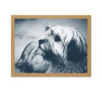 Terrier Dog Bluetone Large Light Oak Framed Art Print Wall Poster 18x24 inch