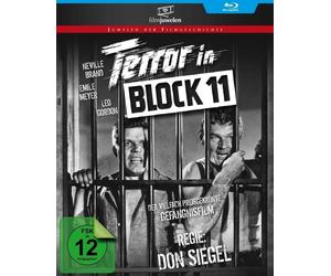 Terror in Block 11 (Riot in Cell Block 11) - Preisgekröntes Gefängnisd (Blu-ray)