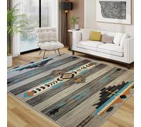 TerroVee Aztec Area Rugs for Living Room 100x150 - Ethnic Tribal Navajo Native American Rug for Bedroom, Geometric Striped Boho Southwestern Non Slip Washable Short Pile Carpet, Aztec Room Decor