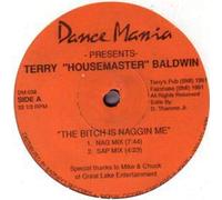 Terry Baldwin - The Bitch Is Naggin Me / Hands Up (You Got The Love)