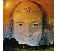 Terry Riley - A Rainbow In Curved Air (180 Gram)