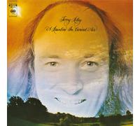 Terry Riley - A Rainbow In Curved Air (LP Yellow Coloured Vinyl) [VINYL]
