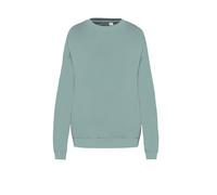 Terrycloth Oversized Sweatshirt Native Spirit Light Green XXL