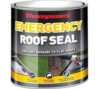 TERS25L 2.5L Thompsons Emergency Roof Seal