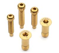 Terske Gold Titanium Bolt Kit fits Shimano XTR/XT/SLX/Deore Rear Derailleurs & Pulley Wheels