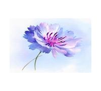 TERUEA Canvas Wall Art Flowers 1 Part Single Violet Blush Cornflower Soft Watercolour Floral Print For Home and Office Decoration(Purple)-70x100cm1 Unframed