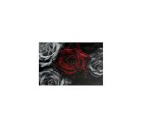 TERUEA Flickering Flower Modern Abstract Paintings Canvas Wall Art Red Rose with Black White Background For Women's Girl's Bedroom Living Room Bathroom Gift(Red)-60x90cm1 Unframed