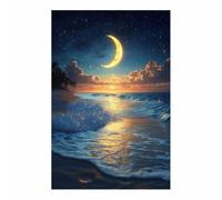 TERUEA Flowers Vintage Floral Picturesfor LivingRoom Bedroom Beach Moon Night Ocean Canvas Decor Modern Home Decorations for Bedroom Bathroom LivingRoom-40x60cm Unframed