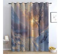 TERUEA Forest Scene Print Soundproof Window Drapes for Bedroom Living Room A winter scene with a tree in the Lake District Urban City Night View Window Curtain-42 W x 63" L (Pack of 2)