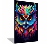 TERUEA Funny Bathroom Wall Painting Animals Humor Abstract Artwork For Living Room Gallery Bathroom Vibrant Rainbow Owl, Bold Fantasy Animal Decor Canvas Print Bath(Fuchsia)-60x90cm1 Framed