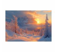 TERUEA Home Selections Painted Flower 3D Wall Canvas. Frosty Tree Winter Mountain Sunset Canvas Wall Art Modern Abstract Paintings(Orange)-40x60cm Unframed